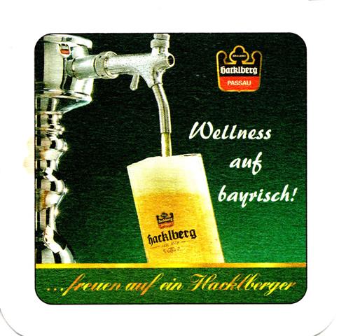 passau pa-by hacklberg wellness 5a (quad185-zapfhahn mit glas)